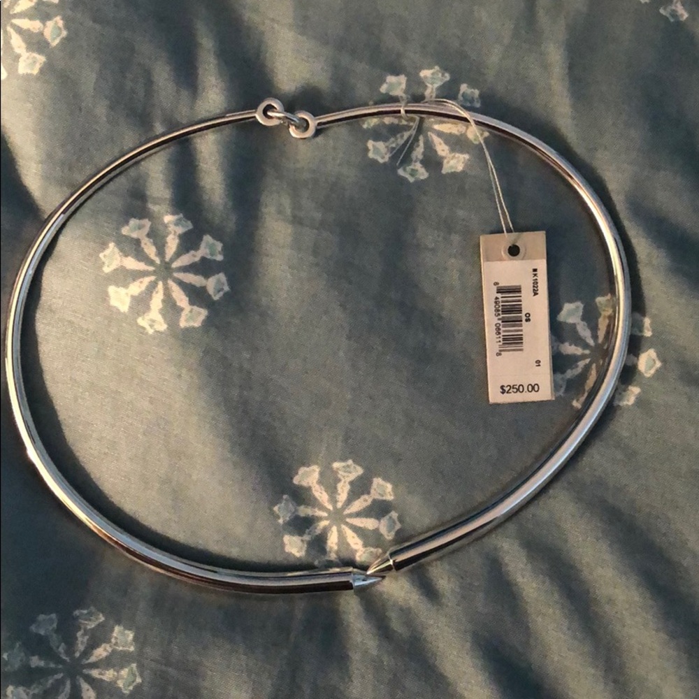 Eddie Borgo silver choker
